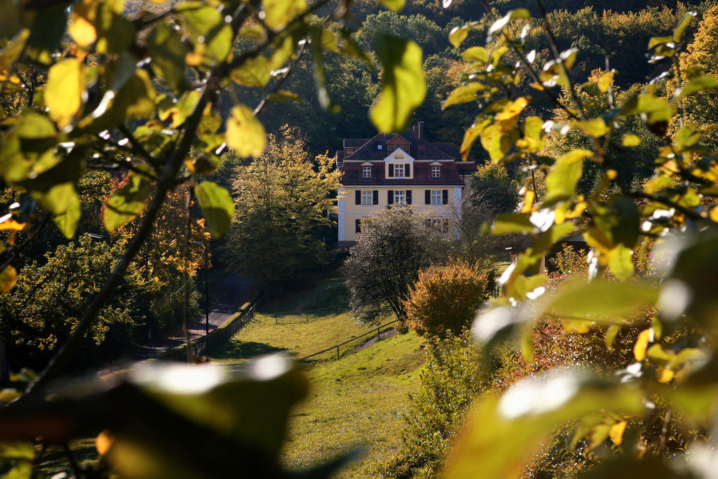 Rhoen Hotel Waldcafe St. Georg Staatsbad Brückenau Exterior foto